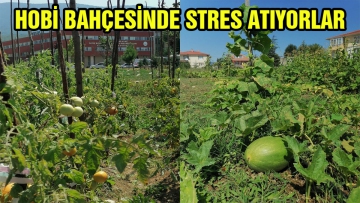 Hobi Bahçesi'nde stres atıyorlar