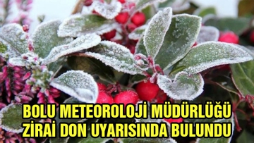 Zirai don uyarısı yapıldı