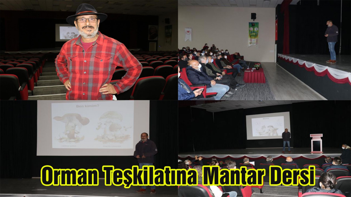 Orman Teşkilatına Mantar Dersi