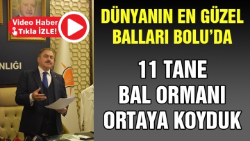 Dünyanın en güzel balları Bolu'da