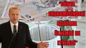 "DÜNYA EKONOMİSİNDEKİ BOZULMA ÜLKEMİZİ DE ETKİLEDİ"