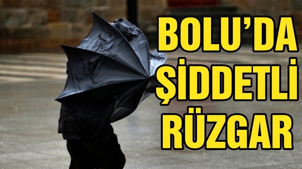Bolu'da şiddetli rüzgar