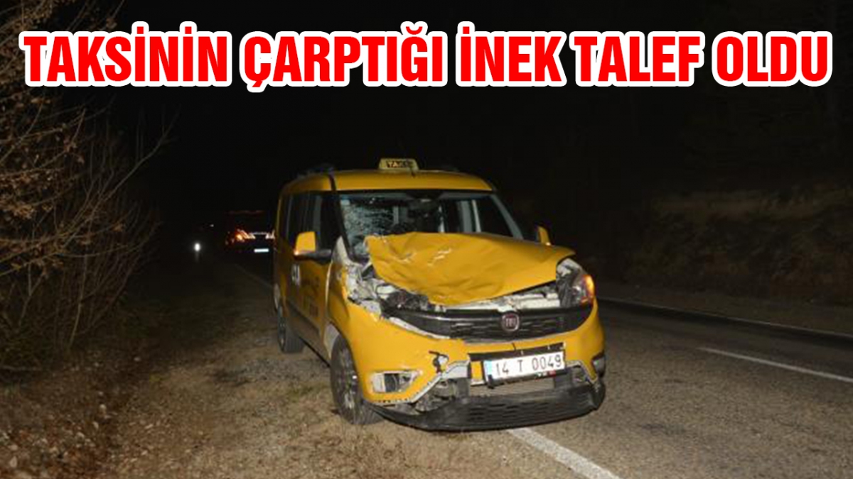 Taksinin çarptığı inek telef oldu