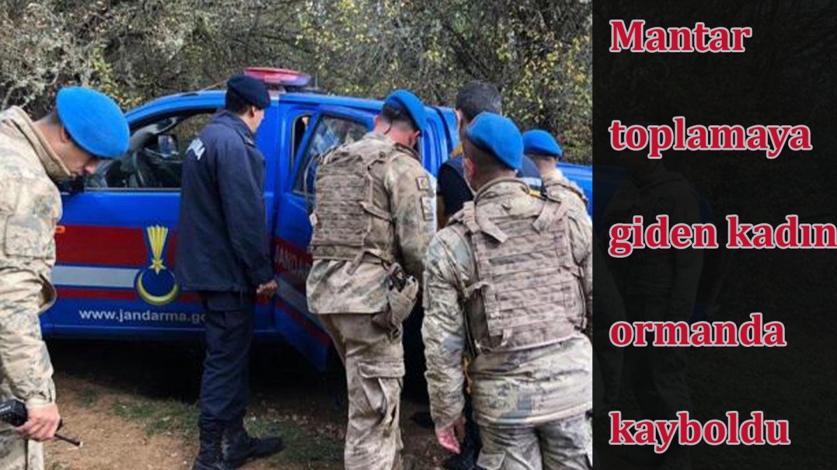 Mantar toplamaya giden kadın ormanda kayboldu