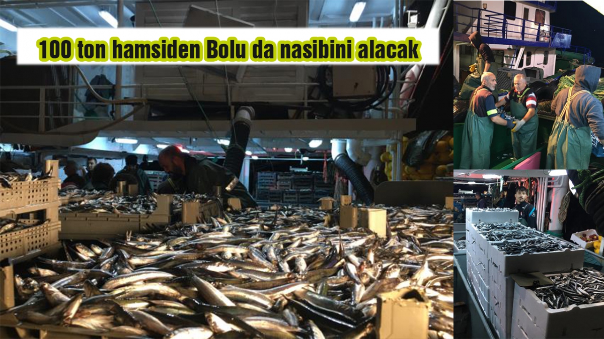 100 ton hamsiden Bolu da nasibini alacak