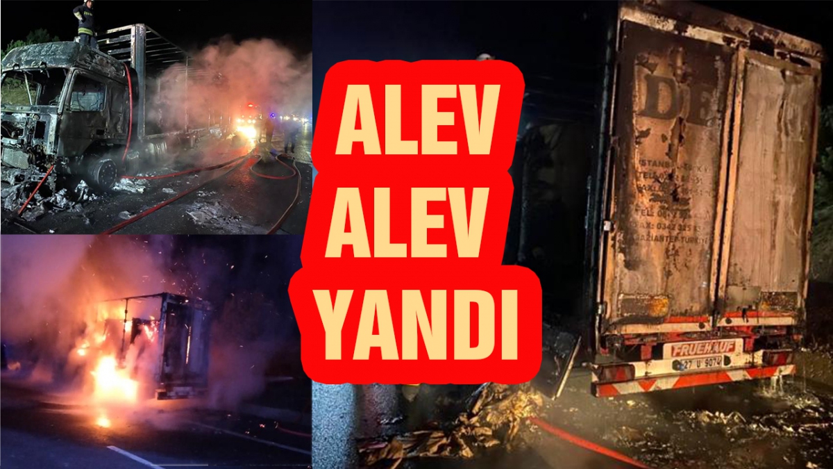 Alev alev yandı