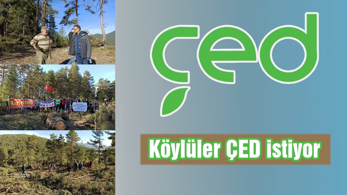 Köylüler ÇED istiyor