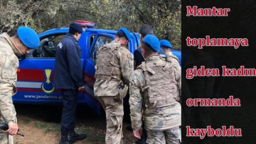 Mantar toplamaya giden kadın ormanda kayboldu