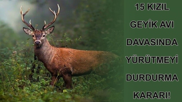15 Kızıl geyik avı davasında yürütmeyi durdurma kararı