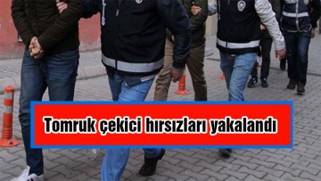 Tomruk çekici hırsızları yakalandı