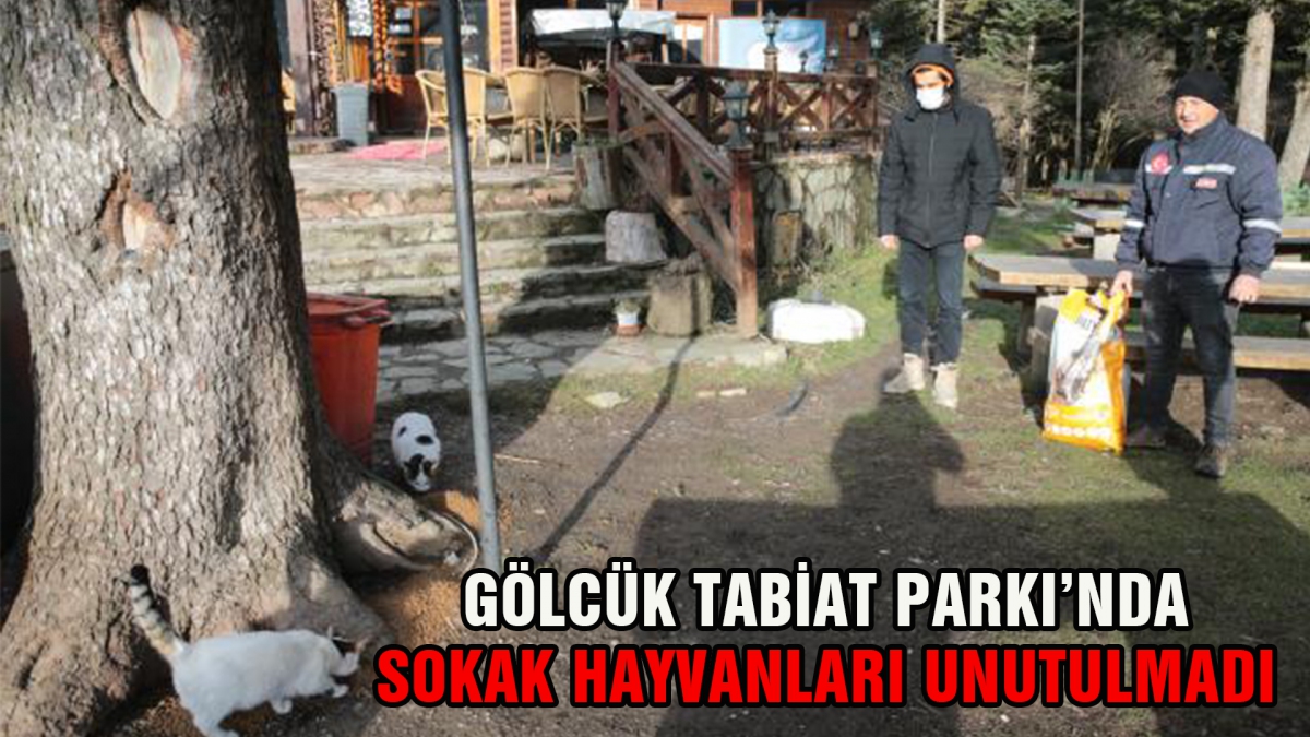 Gölcük Tabiat Parkı'nda sokak hayvanları unutulmadı