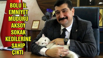 Bolu İl Emniyet Müdürü Aksoy sokak kedilerine sahip çıktı
