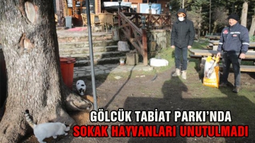 Gölcük Tabiat Parkı'nda sokak hayvanları unutulmadı