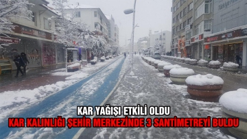 Şehir merkezinde 3 santimetreyi buldu
