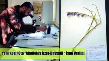 Yeni Keşif Ota "Gladiolus İzzet-Baysalii " İsmi Verildi