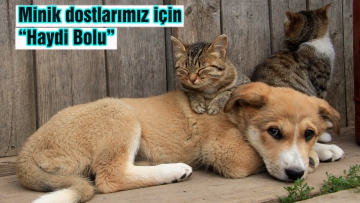 Minik dostlarımız için "Haydi Bolu"