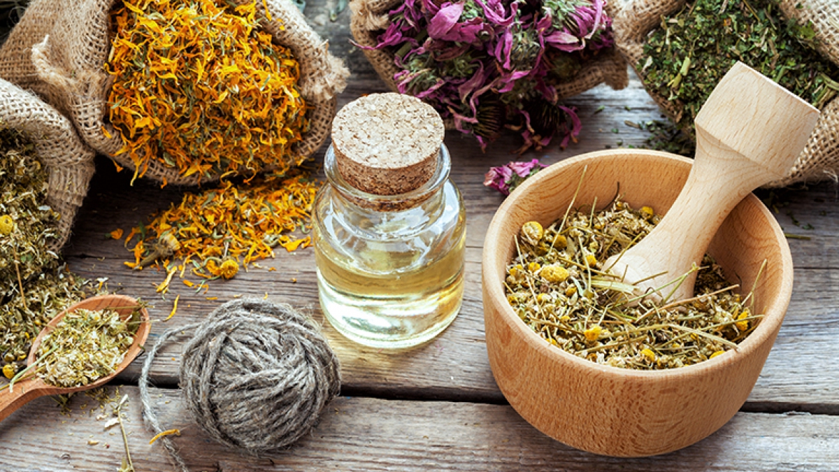 Şifalı bitkiler hangi hastalıklara iyi gelir? Şifalı bitkilerin faydaları nelerdir?