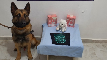 Uyuşturucu hapları oyuncağın içine sakladı