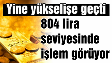 Altın yine yükselişe geçti