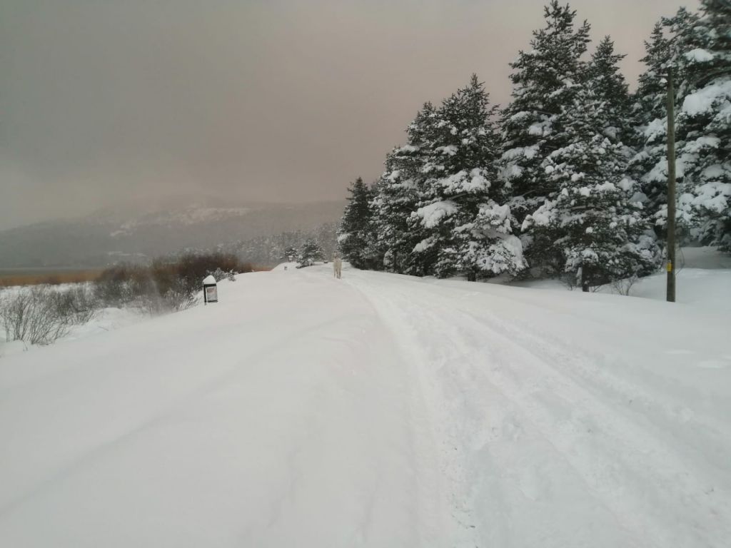 Abant'ta kartpostallık manzaralar