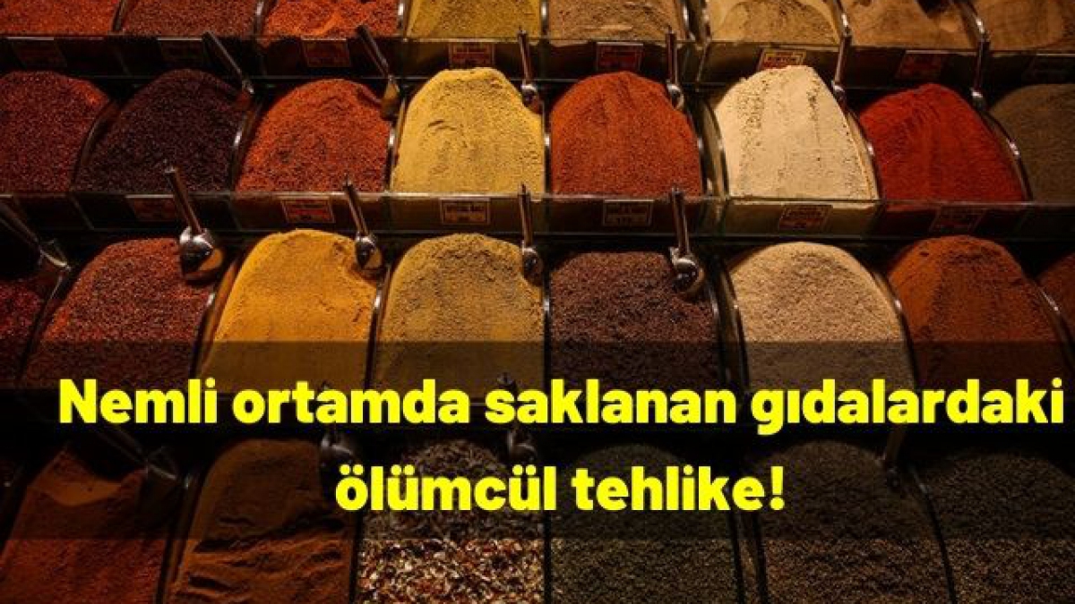 Nemli ortamda saklanan gıdalardaki ölümcül tehlike!