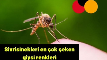 Sivrisinekleri en çok çeken giysi renkleri