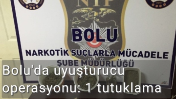Bolu'da uyuşturucu operasyonu: 1 tutuklama