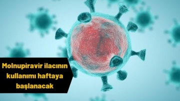 Molnupiravir ilacının kullanımı haftaya başlanacak !