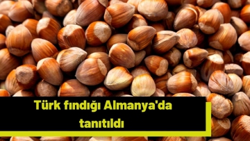 Türk fındığı Almanya'da tanıtıldı 