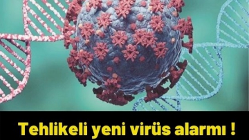 Tehlikeli yeni virüs alarmı !
