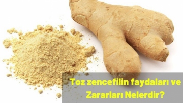 Toz zencefilin faydaları ve Zararları Nelerdir?