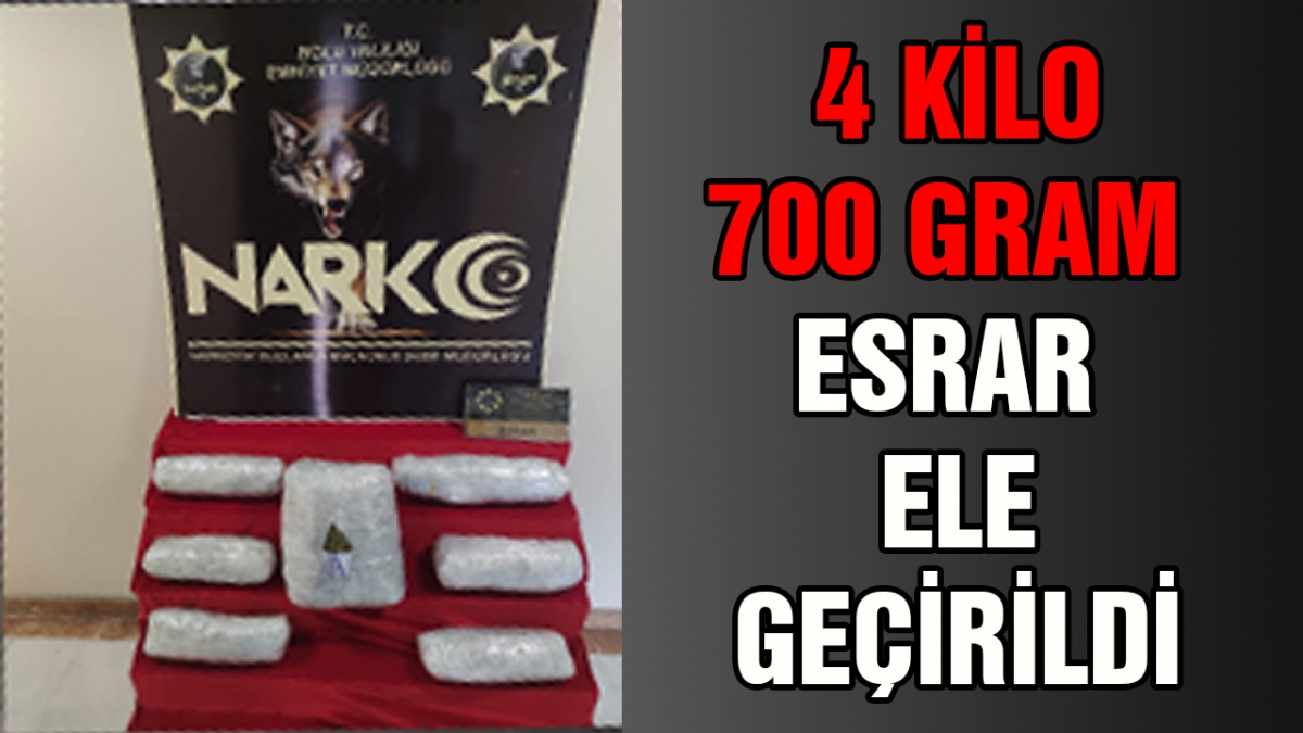 4 kilo 700 gram esrar ele geçirildi