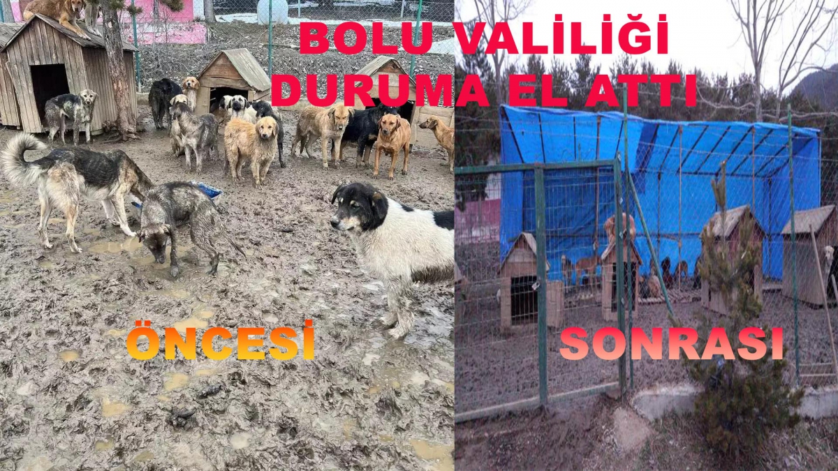 Gerede'deki durum için Vali Ahmet Ümit devreye girdi