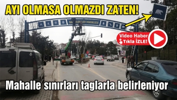 AYI OLMAZSA OLMAZDI ZATEN !