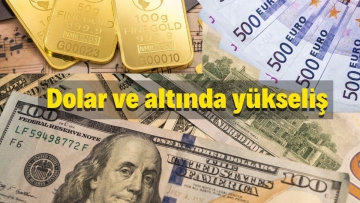Dolar ve altında yükseliş 