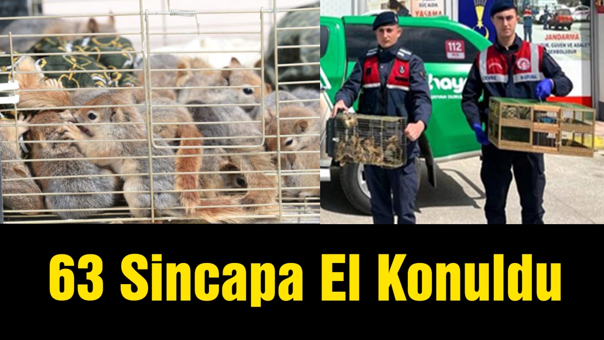 63 Sincapa El Konuldu