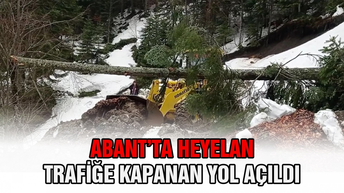 Abant'ta heyelan: Trafiğe kapanan yol açıldı