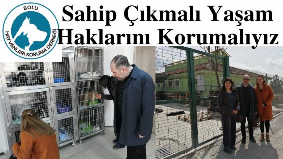 Sahip çıkmalı yaşam haklarını korumalıyız