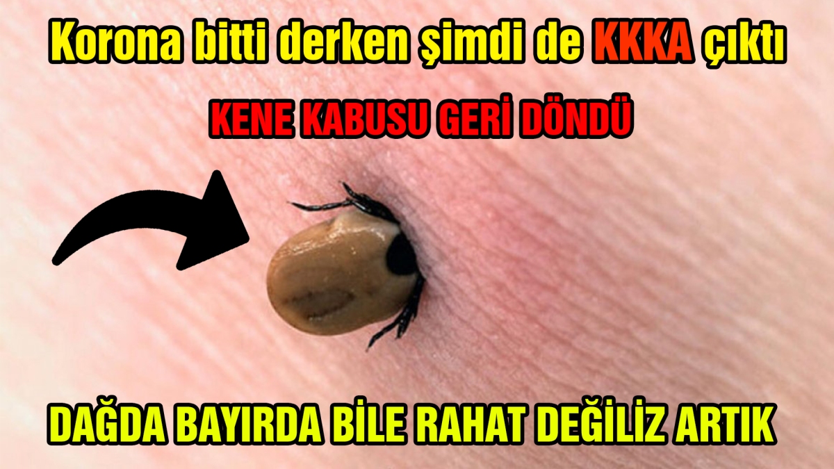 KENE KABUSU GERİ DÖNDÜ
