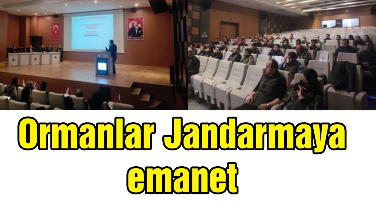 Ormanlar Jandarmaya emanet