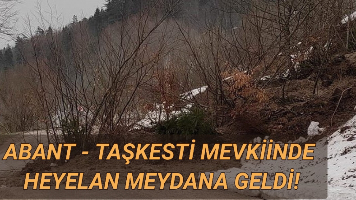 Abant - Taşkesti mevkiinde heyelan meydana geldi