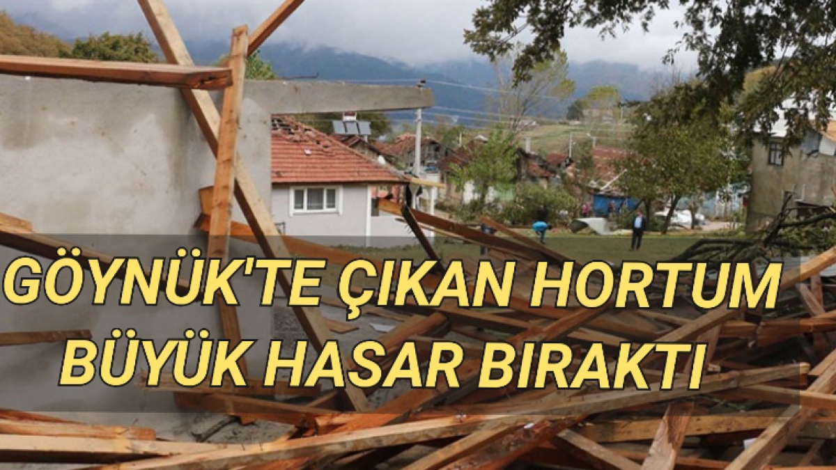 GÖYNÜK'TE ÇIKAN HORTUMUN ARDINDAN HASAR TESPİT ÇALIŞMALARI BAŞLADI