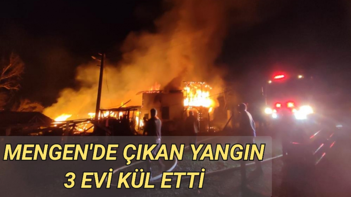 Mengen'de çıkan yangın 3 evi kül etti