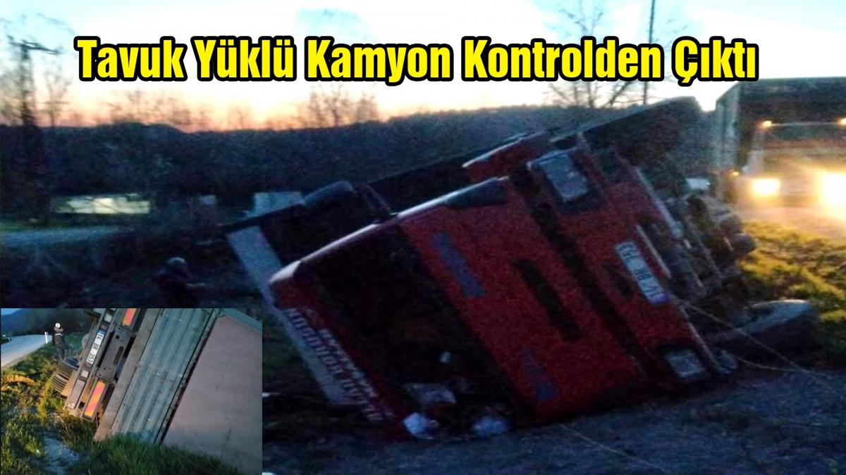 Tavuk Yüklü Kamyon Kontrolden Çıktı
