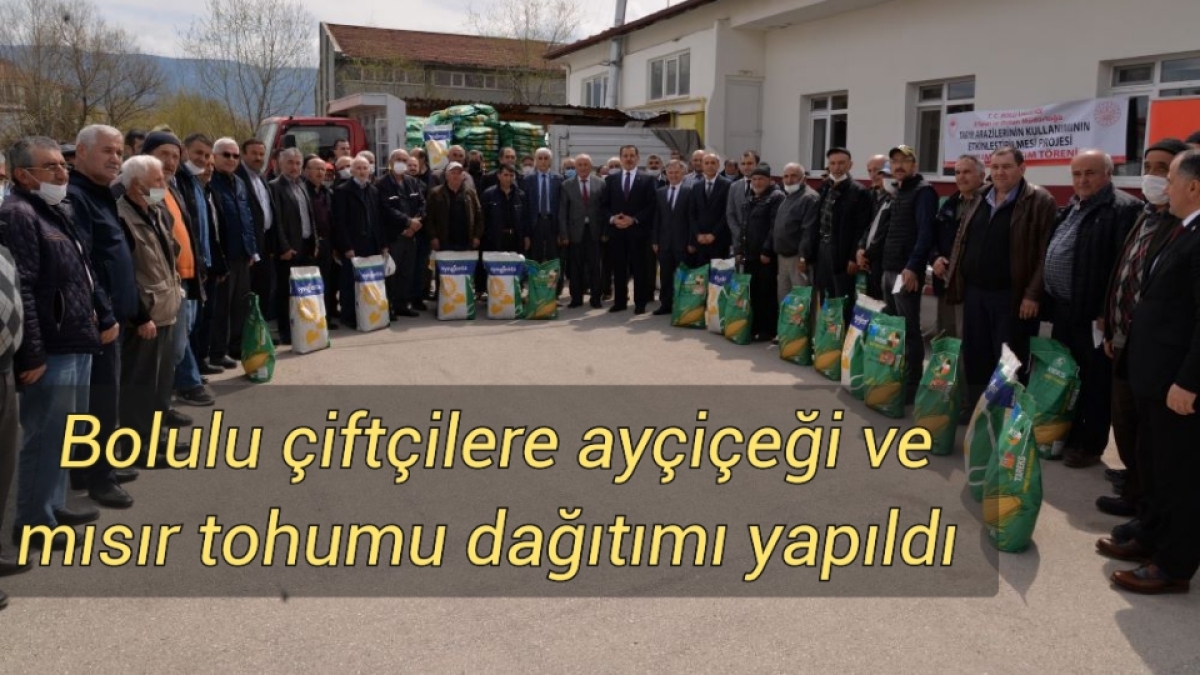 Bolulu çiftçilere ayçiçeği ve mısır tohumu dağıtımı yapıldı