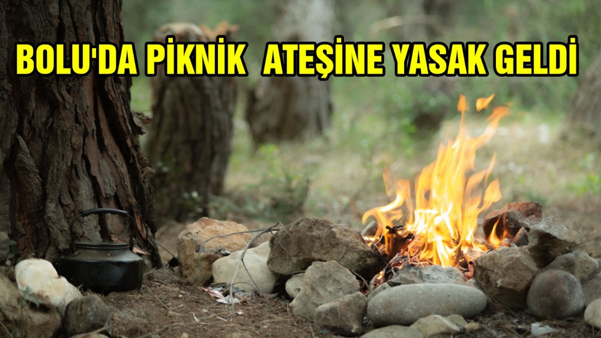 BOLU'DA PİKNİK ATEŞİNE YASAK GELDİ