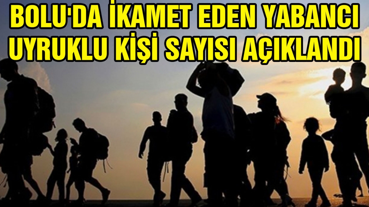 BOLU'DA İKAMET EDEN YABANCI UYRUKLU KİŞİ SAYISI AÇIKLANDI 