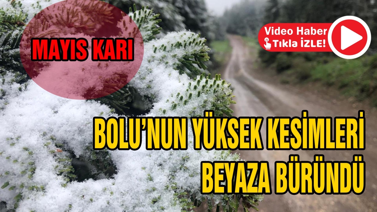 Bolu'nun yüksek kesimleri beyaza büründü