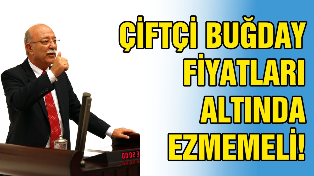 ÇİFTÇİ BUĞDAY FİYATLARI ALTINDA EZMEMEMLİ!