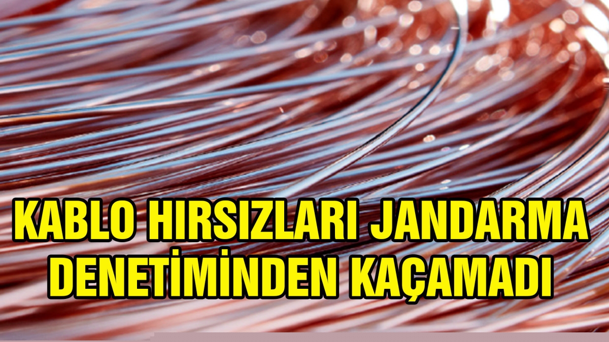 KABLO HIRSIZLARI JANDARMA DENETİMİNDEN KAÇAMADI